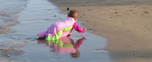 cropped-img_3716.jpg