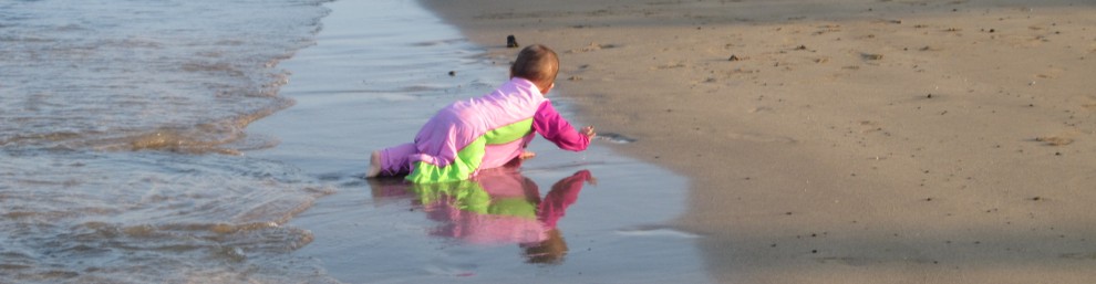 cropped-img_3716.jpg