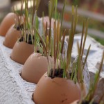 {Play} Repurposed Easter Grass Spring Garden