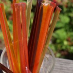 CRAVE IT. COVET. LOVE IT.  This Week:  Love Organic Honey Sticks