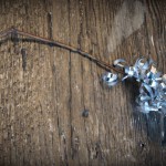 {Play} Twig and Ribbon Princess and Magic Wand