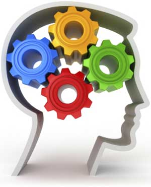 toddler brain