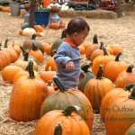 lemos farm