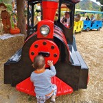 lemos farm