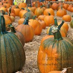 lemos farm