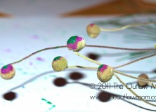 painting with winter leaves and needles