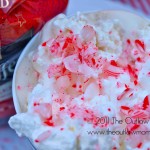 {Celebrate} Homemade For The Holidays | Simple Peppermint Syrup (And A Giveaway) #PeetsCoffee #CBias
