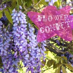 {Play} Flower Confetti