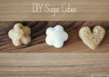 DIY Sugar Cubes from Nifty Thrifty Things