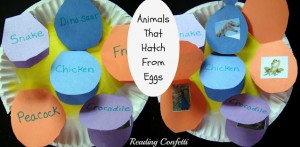 learning about animals