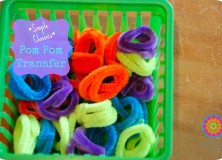 Fine Motor Activity: Transferring Pom Poms with Tongs