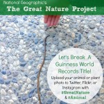 Great Nature Project + Animal Photography Tips