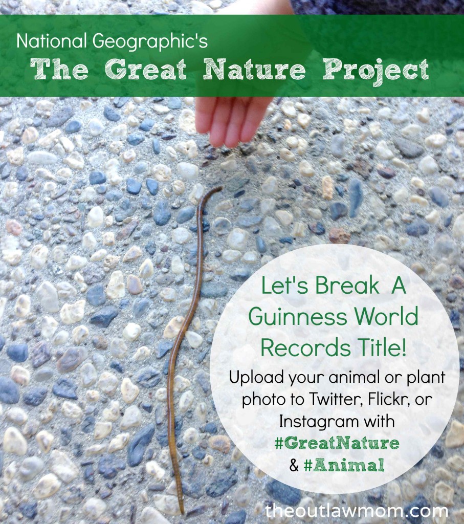National Geographic Great Nature Project