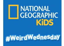 National Geographic Kids Weird Wednesday