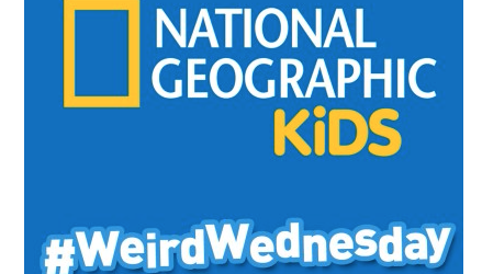 National Geographic Kids Weird Wednesday