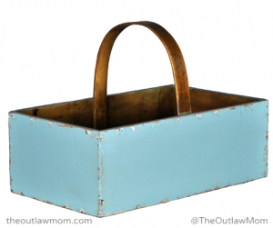 Outlaw_Mom_Square_Aqua_Fruit_Bucket
